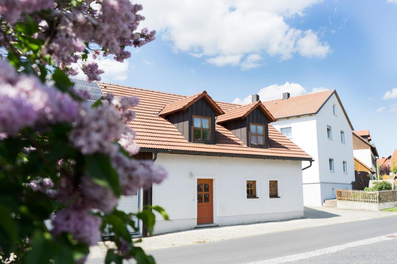 Ferienwohnungen Koehler Neualbenreuth Kültér fotó